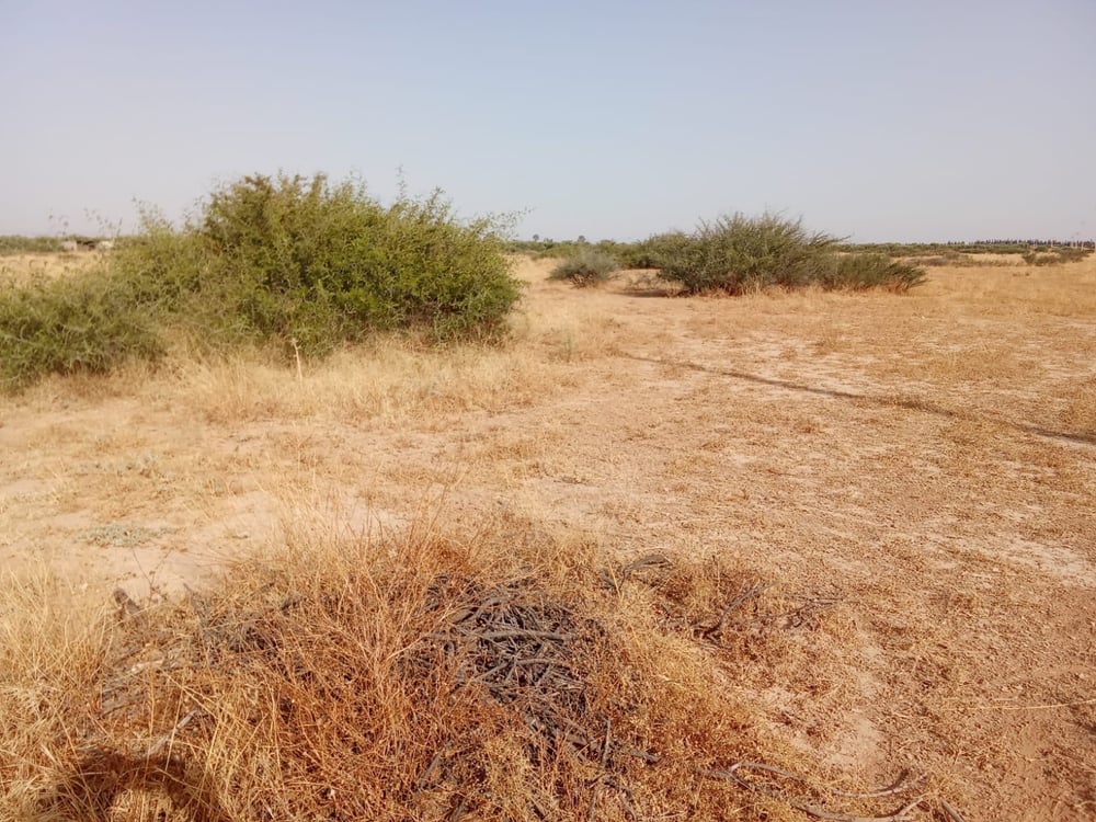 Terrain agricole 102 ha à vendre à M'jat, Guemassa, Marrakech — photo 4