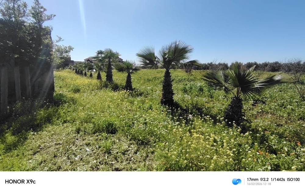 Exceptionnelle ferme agricole à vendre, Ouled Yahya, Benslimane — photo 13