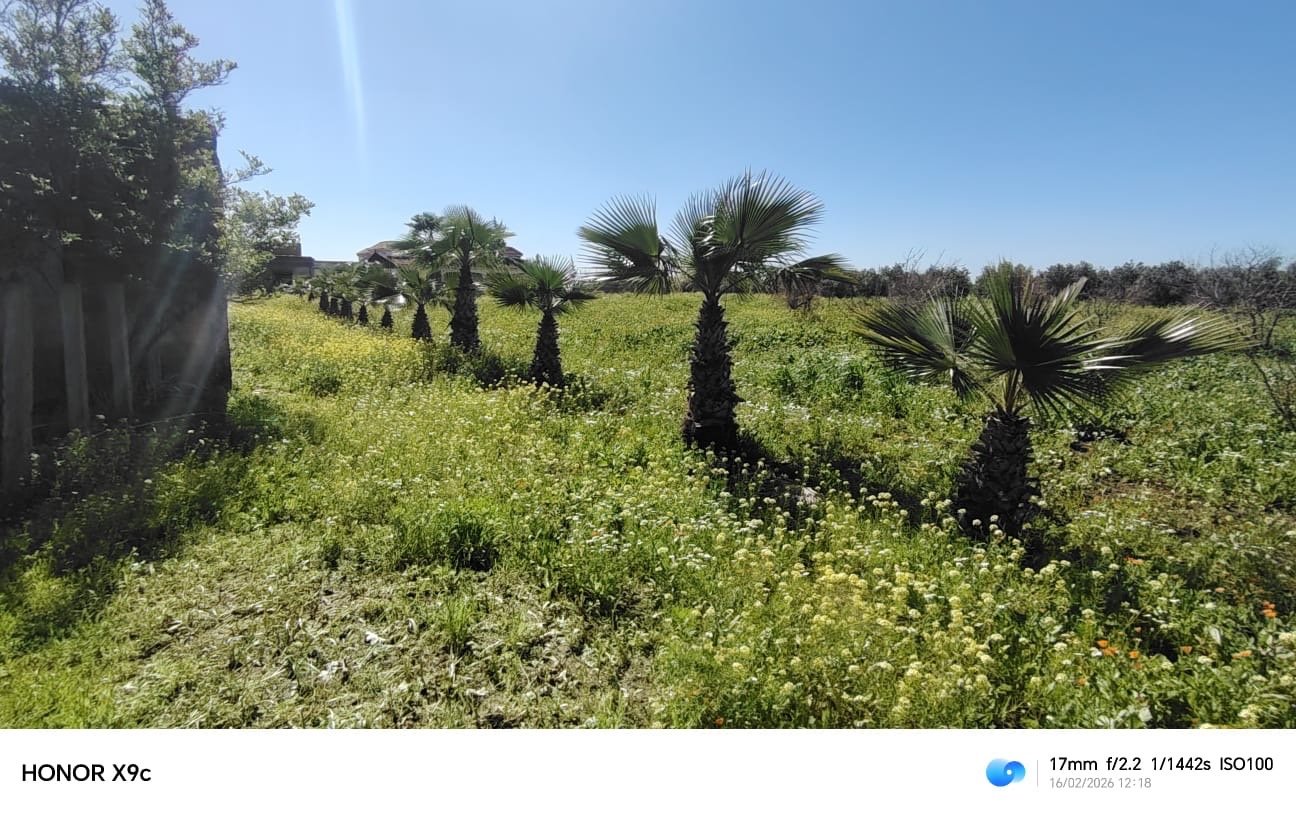 Exceptionnelle ferme agricole à vendre, Ouled Yahya, Benslimane — miniature 13