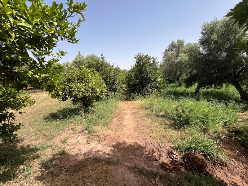 أرض محفظة للبيع، طريق أوريكا، مراكش — Terrain, Marrakech