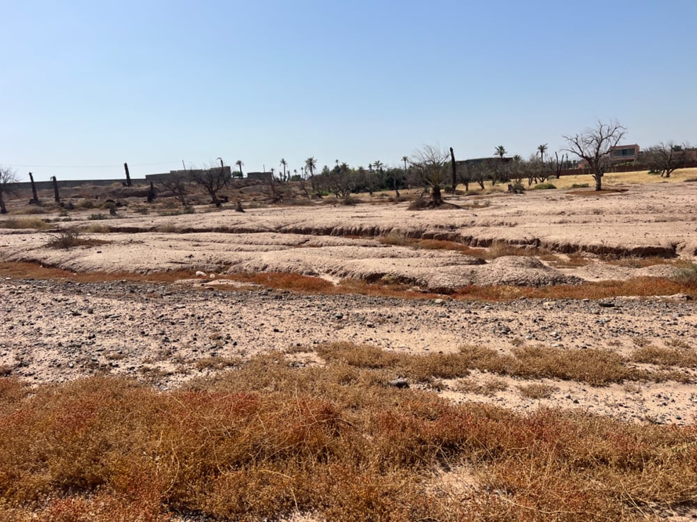 Terrain constructible 3,4 ha à vendre, Bab Atlas Marrakech — photo 8
