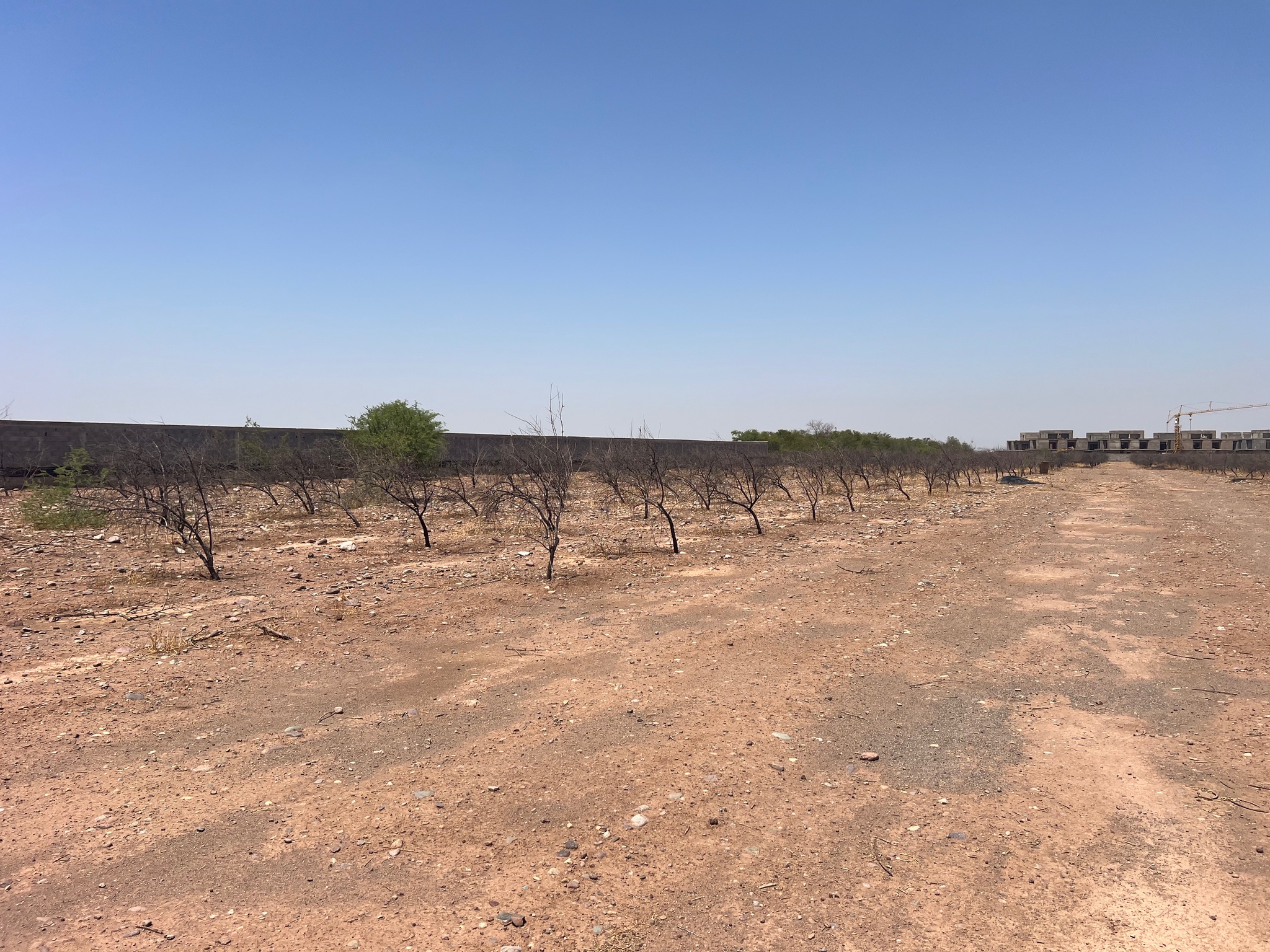 Vente : Terrain ( GH2) zone villa , route ourika , Marrakech  — miniature 4