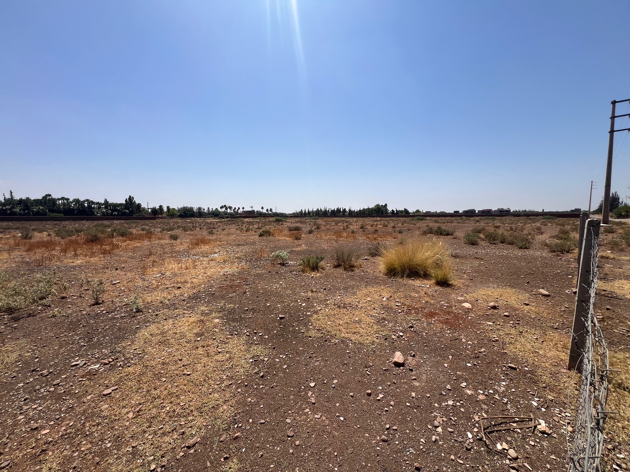 Vente / Achat : Terrain SD1 , 5 ha , Marrakech , route ourika  — miniature 6