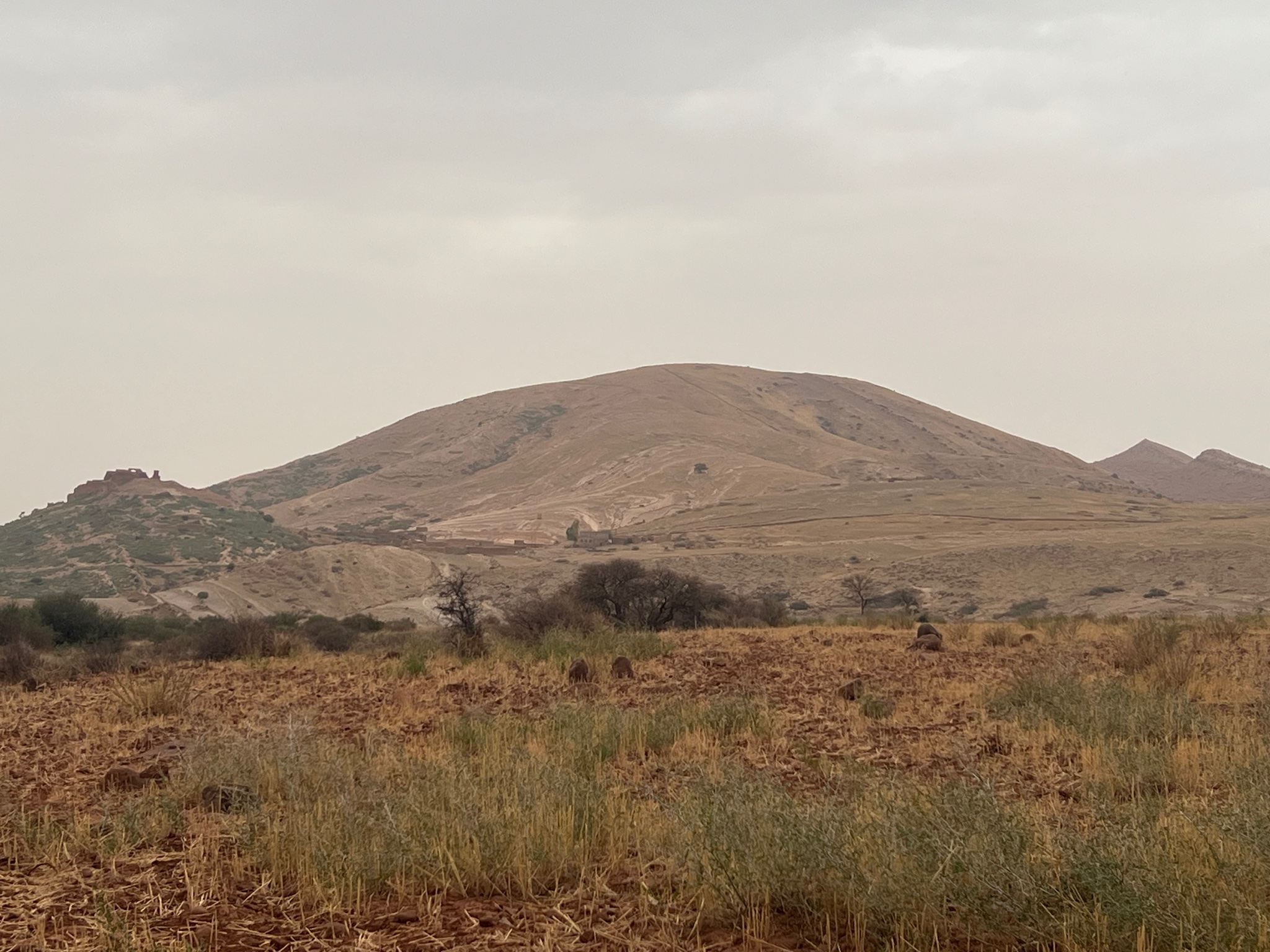 Terrain 3,07 ha à vendre, Sidi Abdellah Ghiate, Marrakech — miniature 6