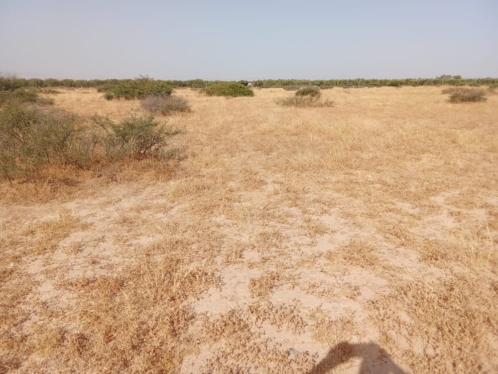 Terrain agricole 102 ha à vendre à M'jat, Guemassa, Marrakech — photo 7