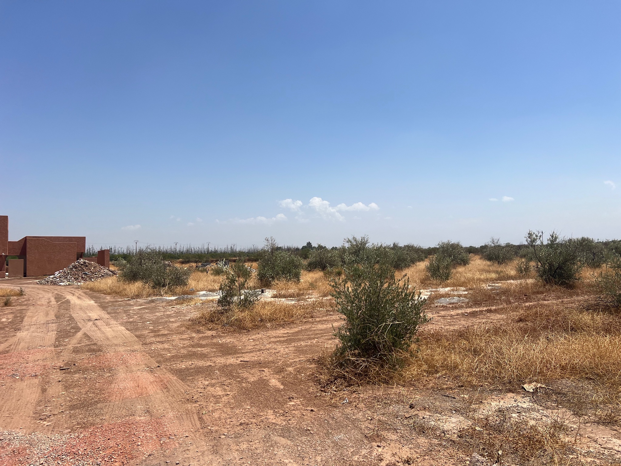 Achat/ vente : projet de villas autorisés. Terrain  SD1 route ourika , Marrakech  — miniature 4