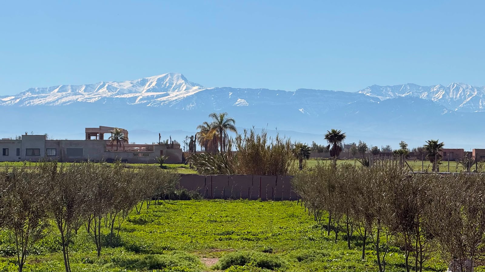 Ferme à vendre avec maison, (VNA) déjà existante, Marrakech, route de Fès — Ferme, Marrakech