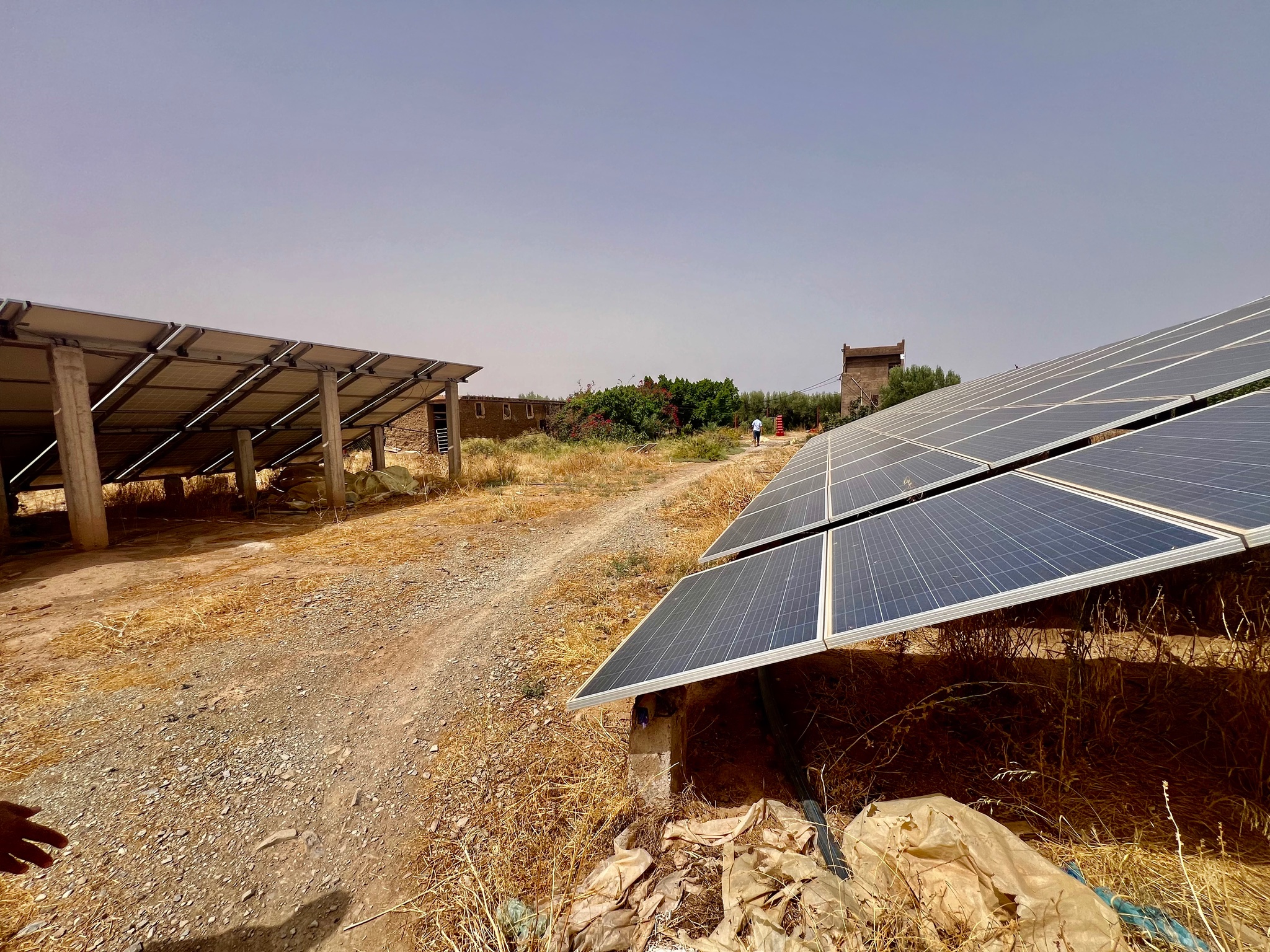 Ferme agricole 18,5 ha à vendre, Tamlalte, Marrakech — miniature 15