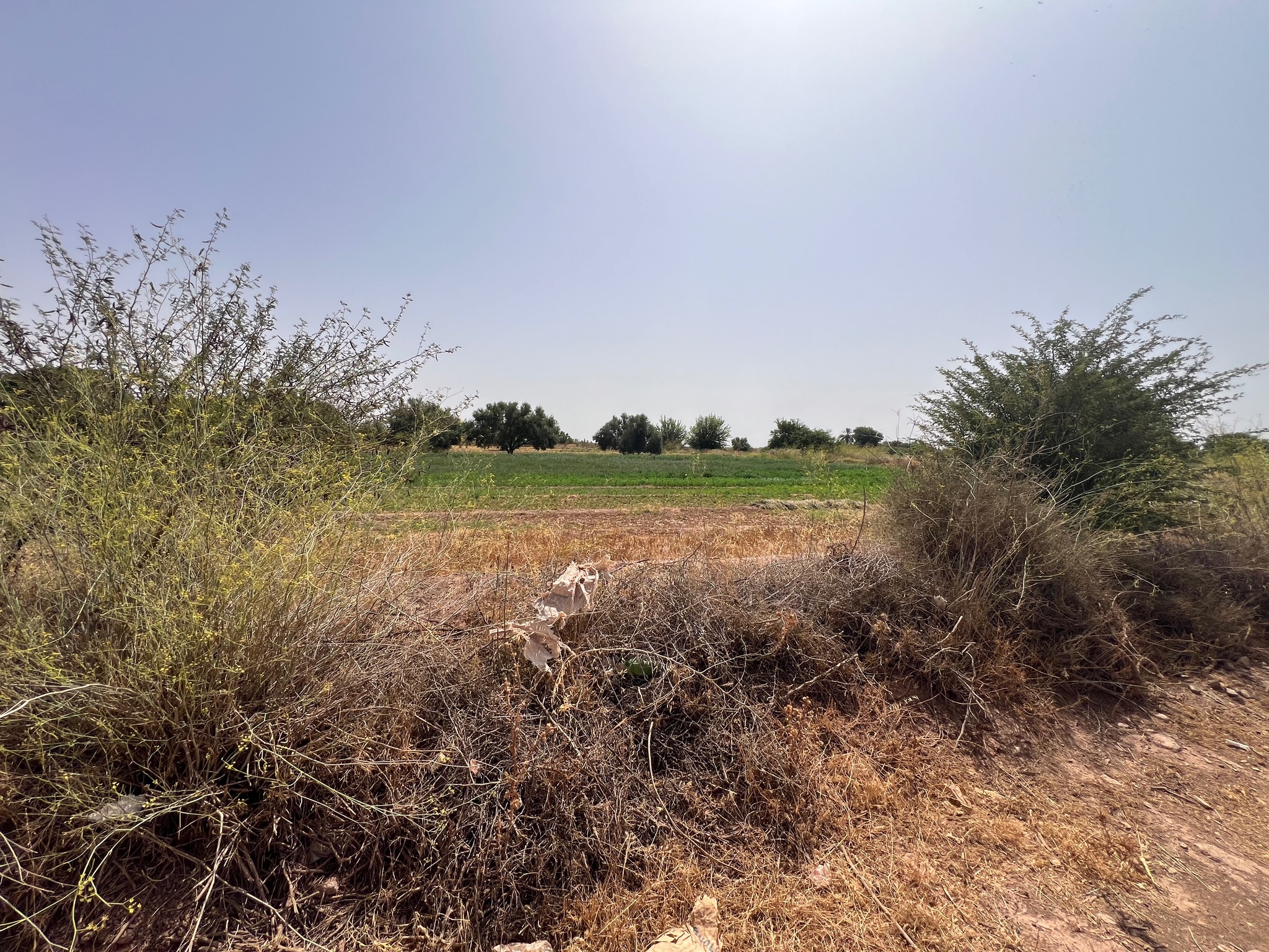 Terrain titré à vendre, Golf Al Maaden, Marrakech — miniature 3