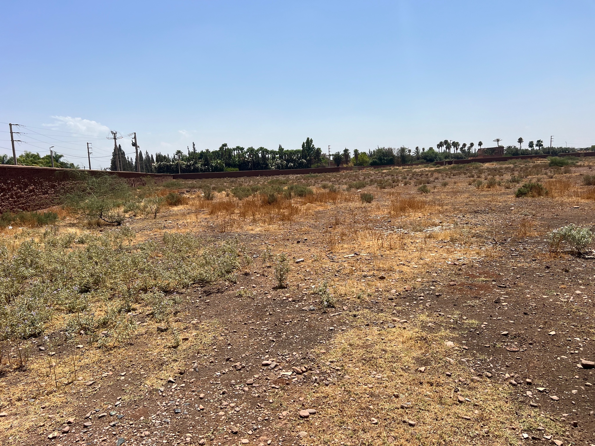 Vente / Achat : Terrain SD1 , 5 ha , Marrakech , route ourika  — miniature 4