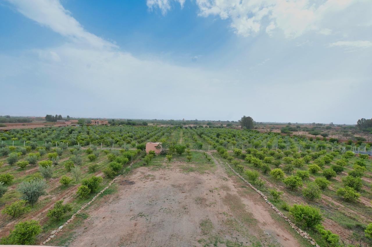 Villa de luxe 2 ha à vendre, Sidi Abdellah Ghiate, Marrakech — miniature 11