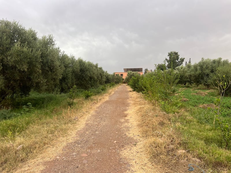 Ferme à vendre 2, 5 ha, route de tahanaoute, Marrakech — Ferme, Zouhria
