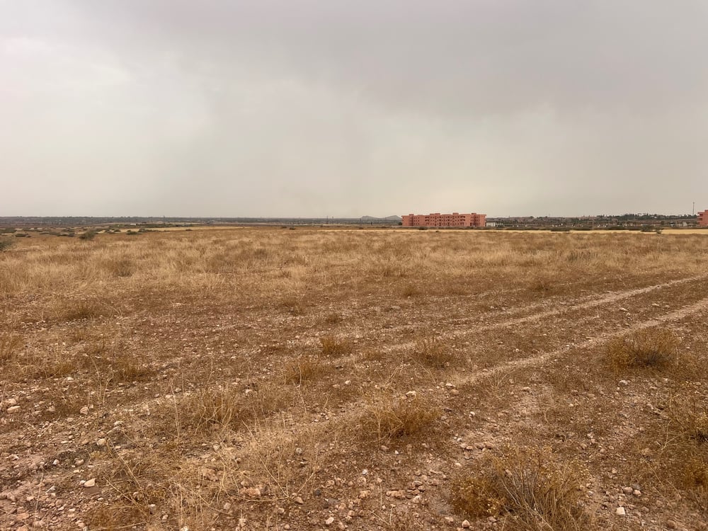 Terrain immeuble 5 ha à vendre, Rmila Marrakech — photo 4