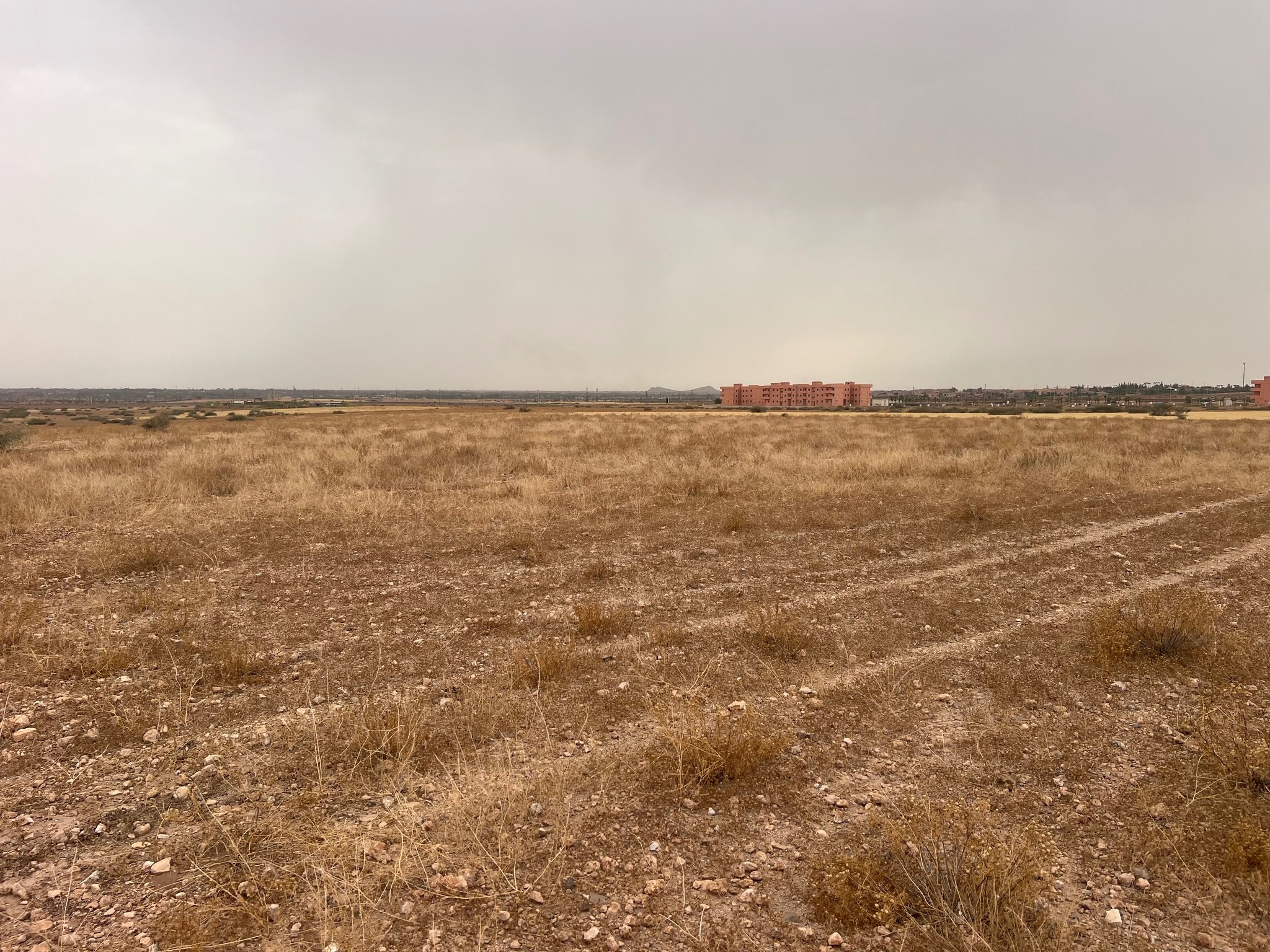 Terrain immeuble 5 ha à vendre, Rmila Marrakech — miniature 4