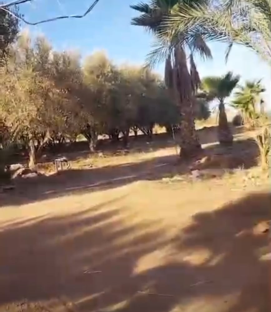 Ferme 3,5 ha à vendre, Route de Fès, Marrakech — photo 6