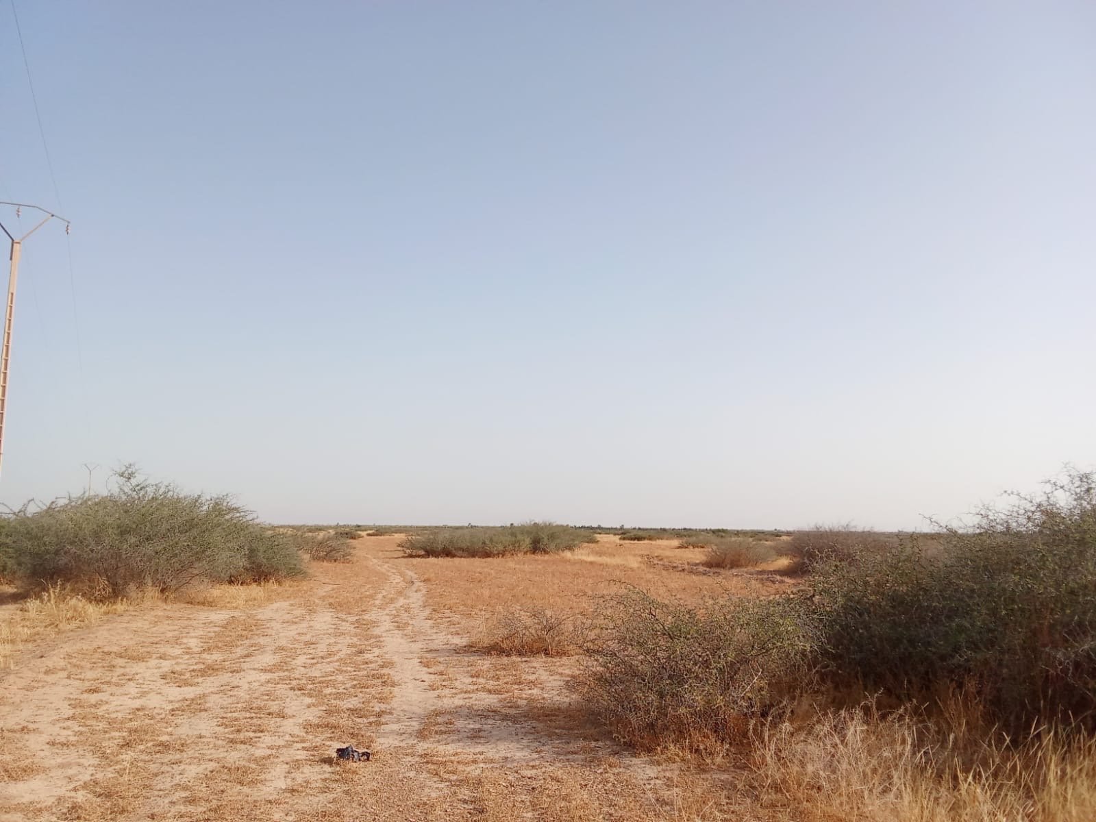 Terrain agricole 102 ha à vendre à M'jat, Guemassa, Marrakech — Terrain agricole, Saâda