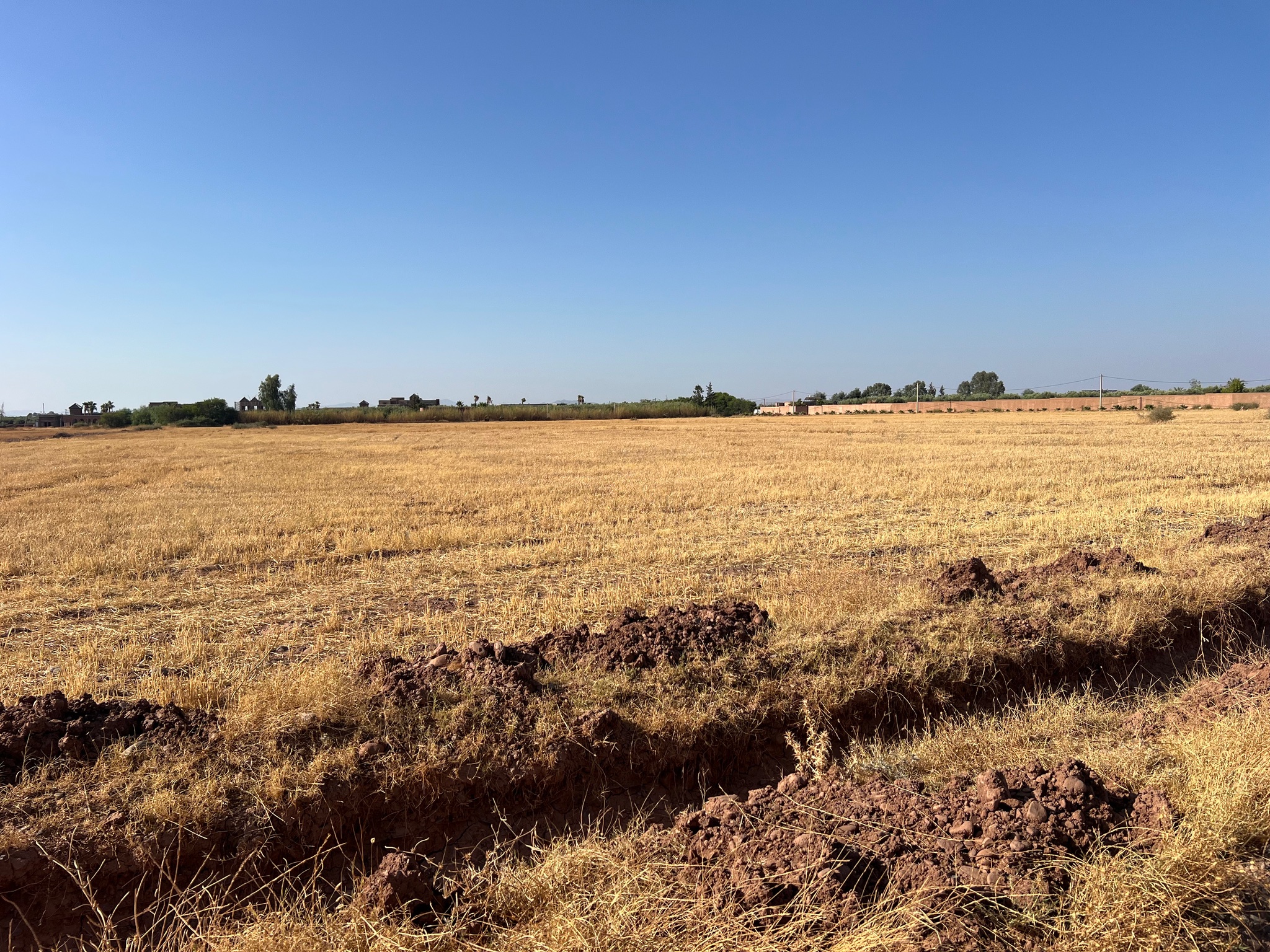 Vente / Achat : Terrain zone touristique, 6,3 ha , Route de tahanaoute , Marrakech  — miniature 2
