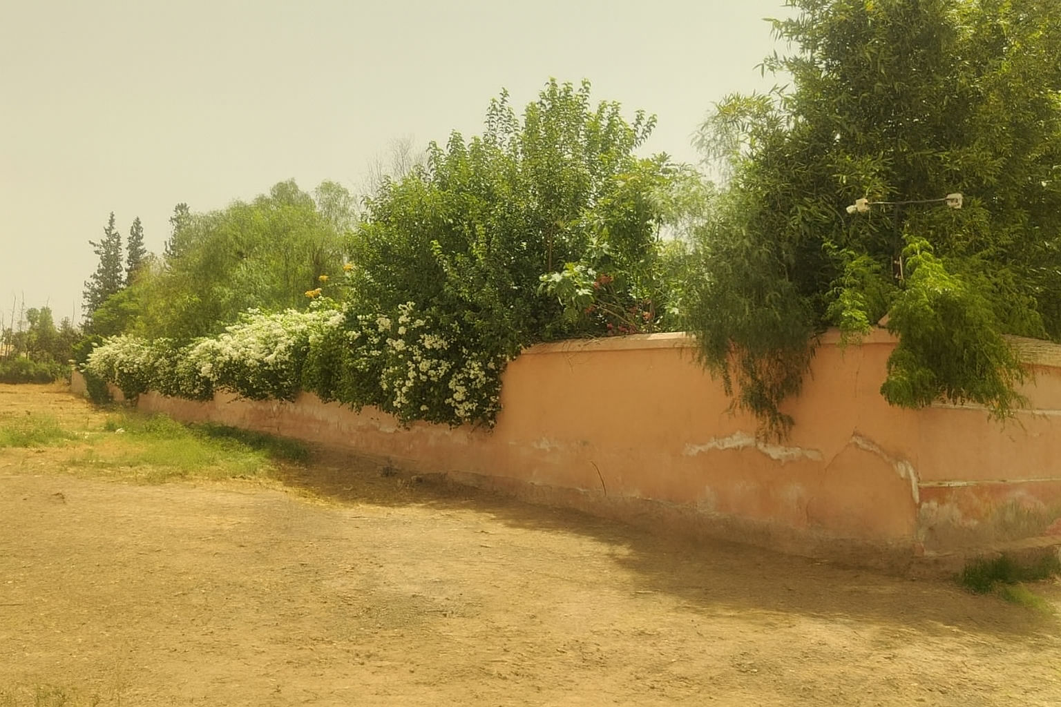 Terrain 1 ha à vendre Palmeraie, Marrakech — miniature 3