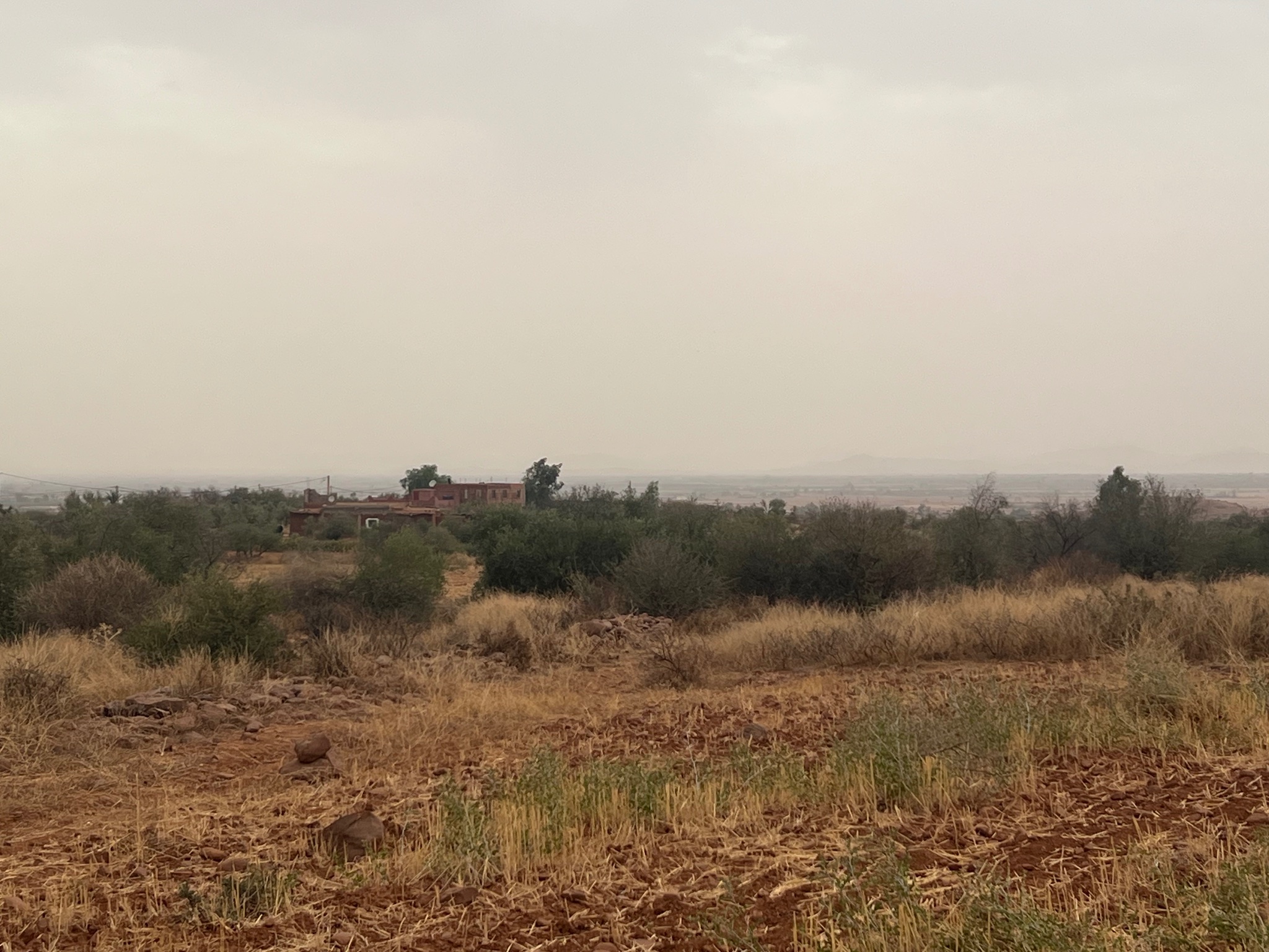Terrain 3,07 ha à vendre, Sidi Abdellah Ghiate, Marrakech — miniature 7
