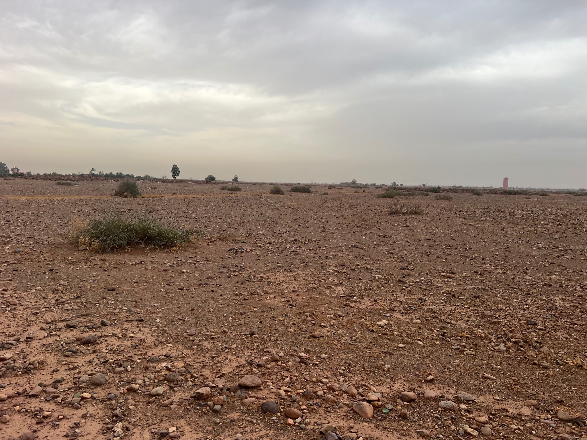 Terrain titré 36 ha à vendre, Route de Tahanaout, Marrakech — miniature 4