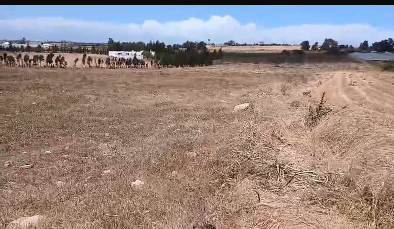 Terrain agricole à vendre, Bir Jdid, Casablanca — miniature 7