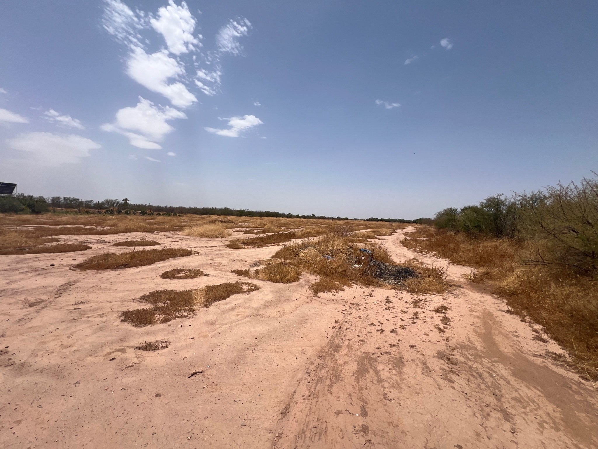 Terrain 5 ha à vendre près Marjane, Route d'Agadir, Marrakech — miniature 4