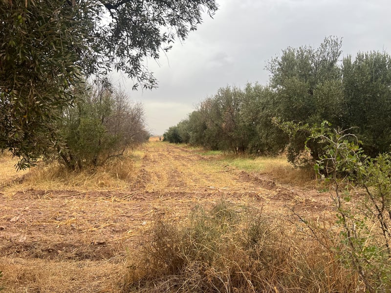 12 ha land for sale, Route de Tahanaout, Marrakech — Terrain, Marrakech