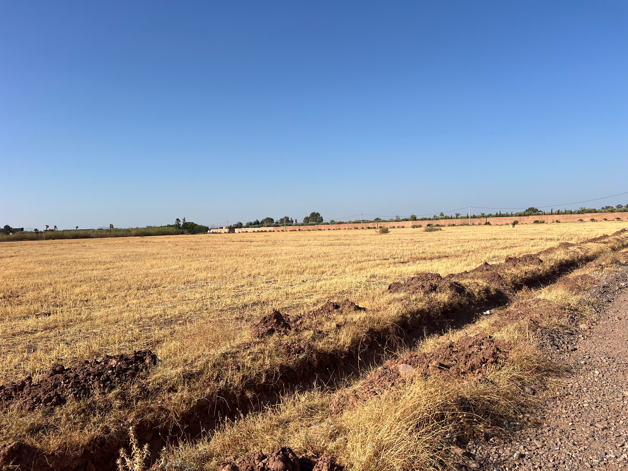 Vente / Achat : Terrain zone touristique, 6,3 ha , Route de tahanaoute , Marrakech  — miniature 4