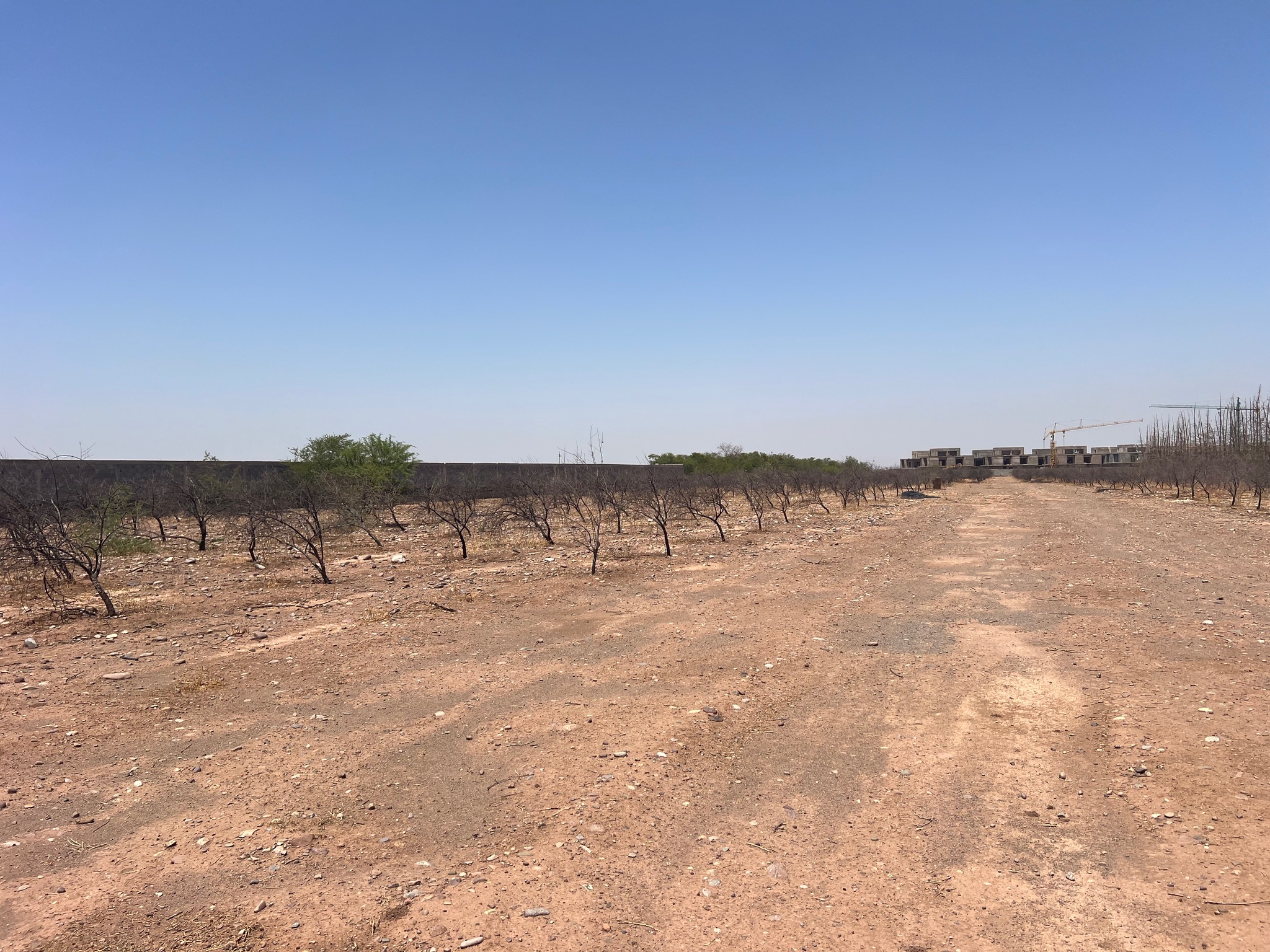 Vente : Terrain ( GH2) zone villa , route ourika , Marrakech  — miniature 6