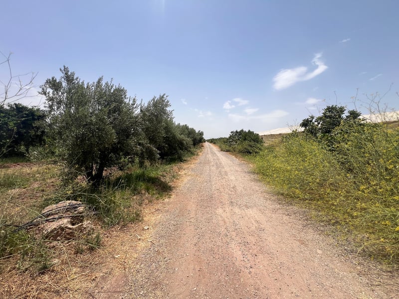 Achat / Vente: ferme agricole, 250 ha, Marrakech, route d’Agadir — Ferme, Marrakech
