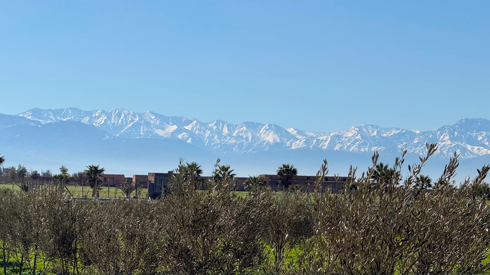 Ferme à vendre avec maison , (VNA ) déjà existante , Marrakech, route de  Fès  — miniature 4
