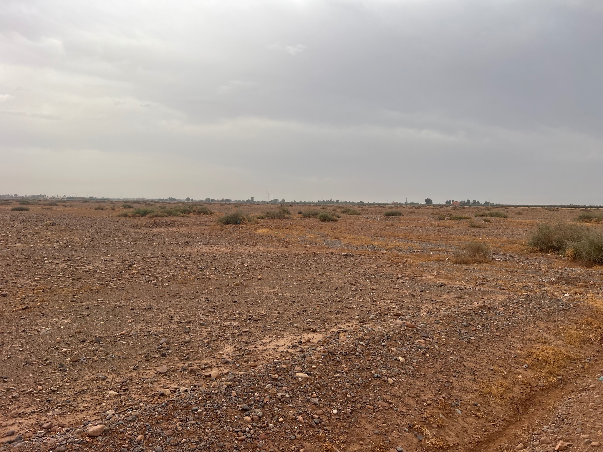 Terrain titré 36 ha à vendre, Route de Tahanaout, Marrakech — miniature 8