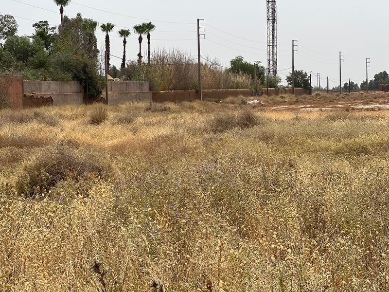 أرض 2.2 هكتار منطقة فيلا للبيع، طريق فاس، مراكش — Terrain, Marrakech