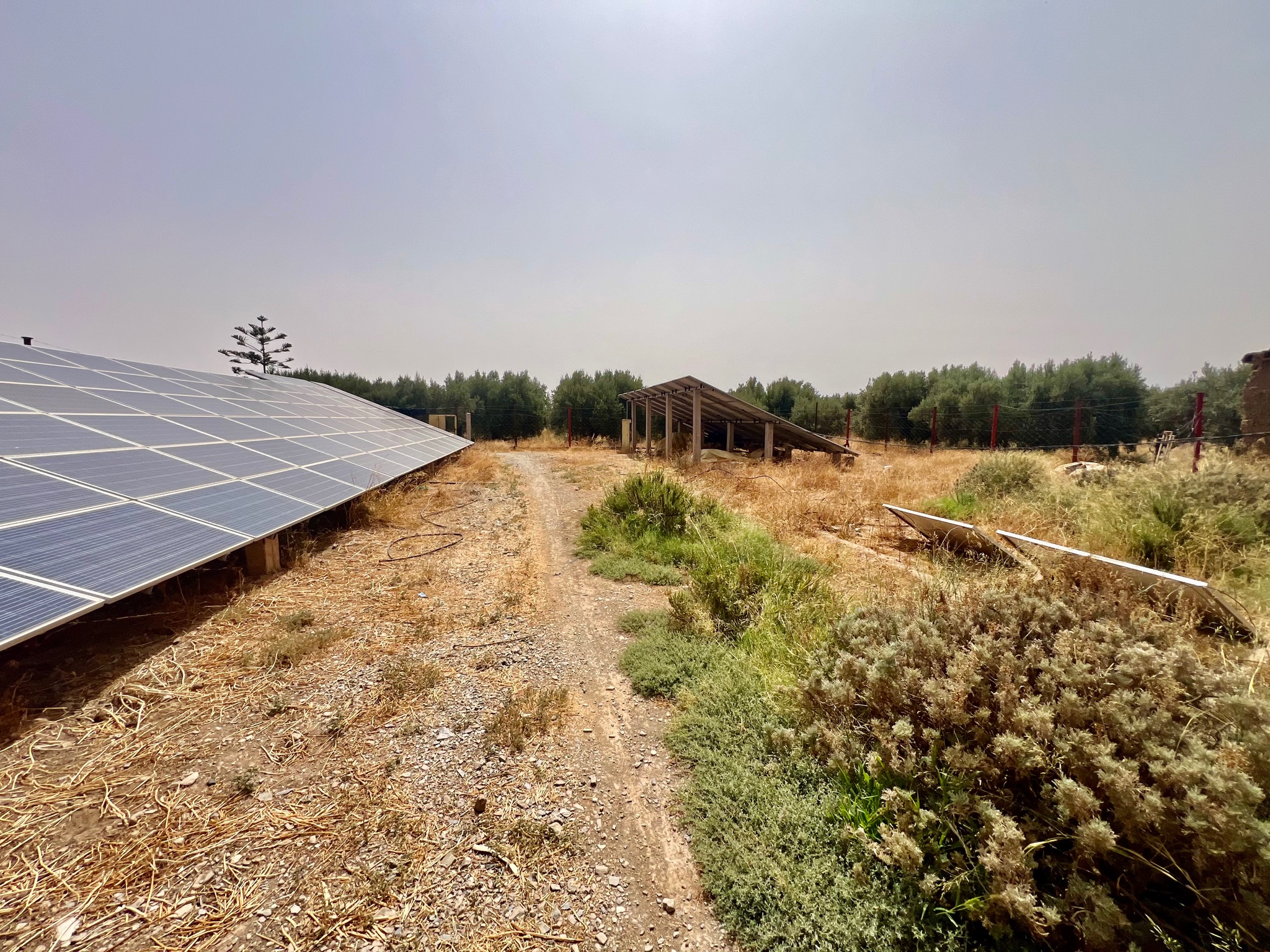 Ferme agricole 18,5 ha à vendre, Tamlalte, Marrakech — miniature 14