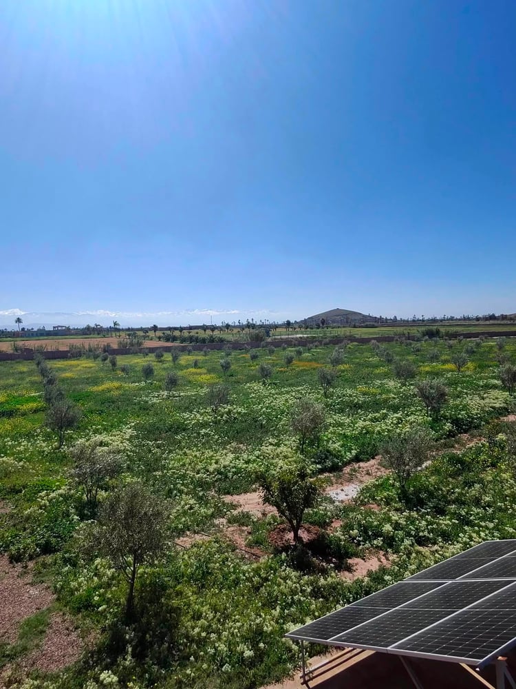 Ferme à vendre avec maison , (VNA ) déjà existante , Marrakech, route de  Fès  — photo 7