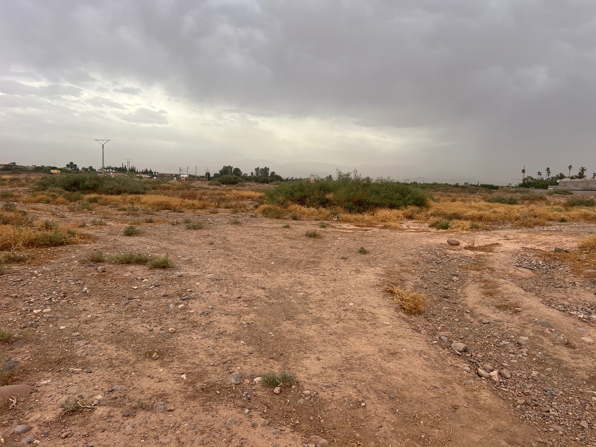 Terrain 5 ha à vendre, Chérifia, Route Amizmiz, Marrakech — miniature 6