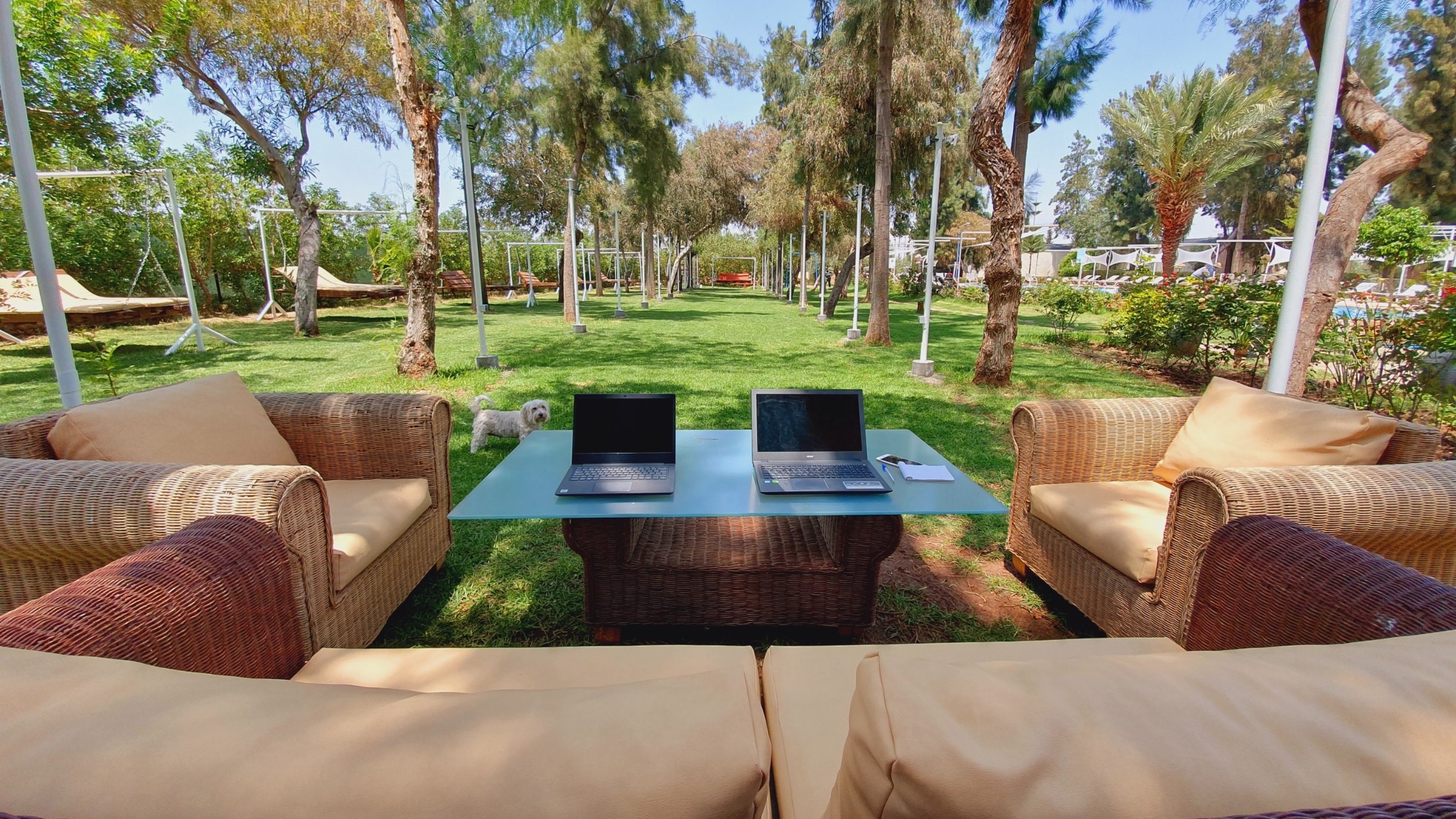 Vente / Achat : Maison d’hôtes exceptionnelle, route Amizmiz ( barrage ) Marrakech  — miniature 10