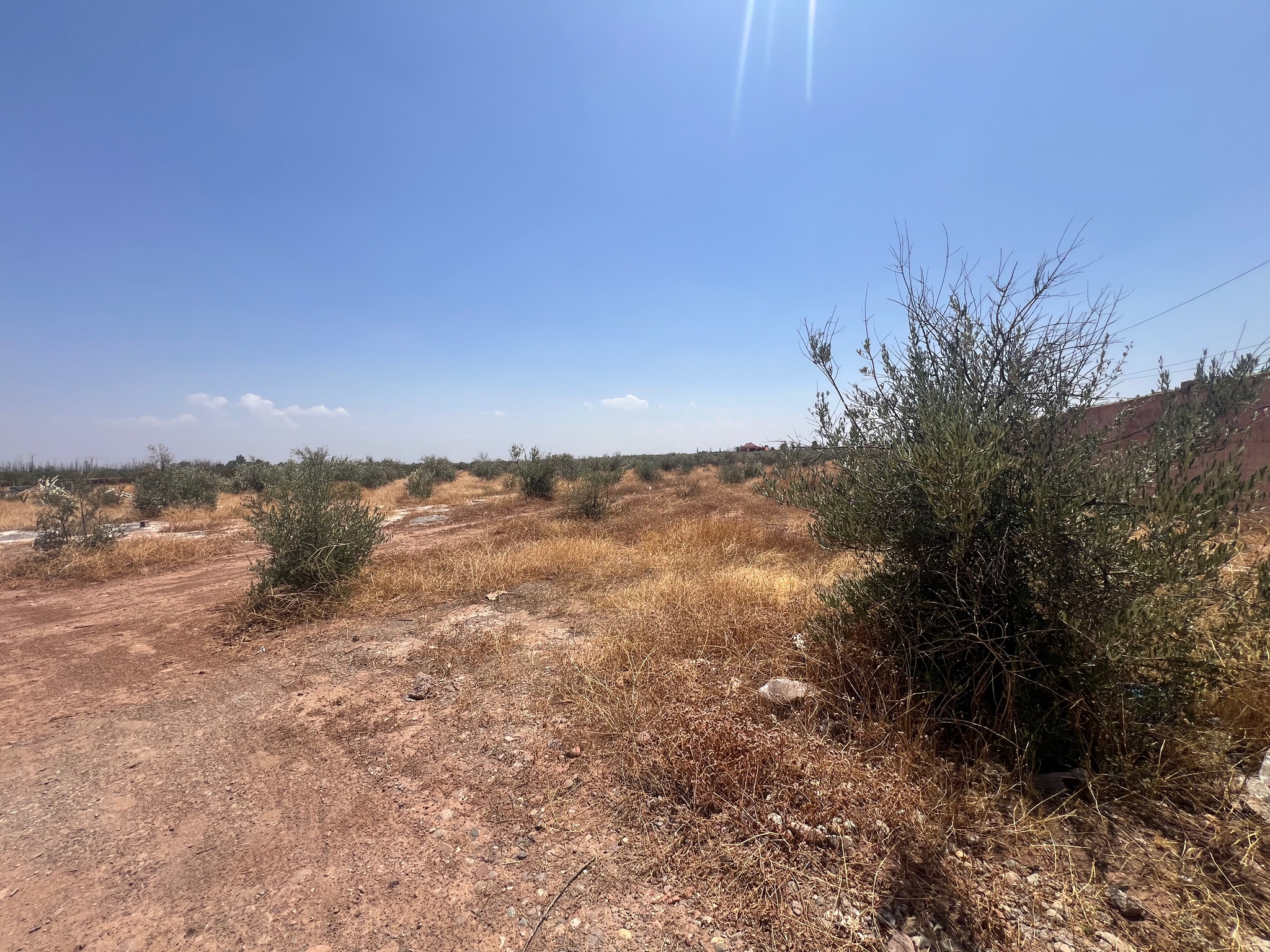 Achat/ vente : projet de villas autorisés. Terrain  SD1 route ourika , Marrakech  — miniature 2