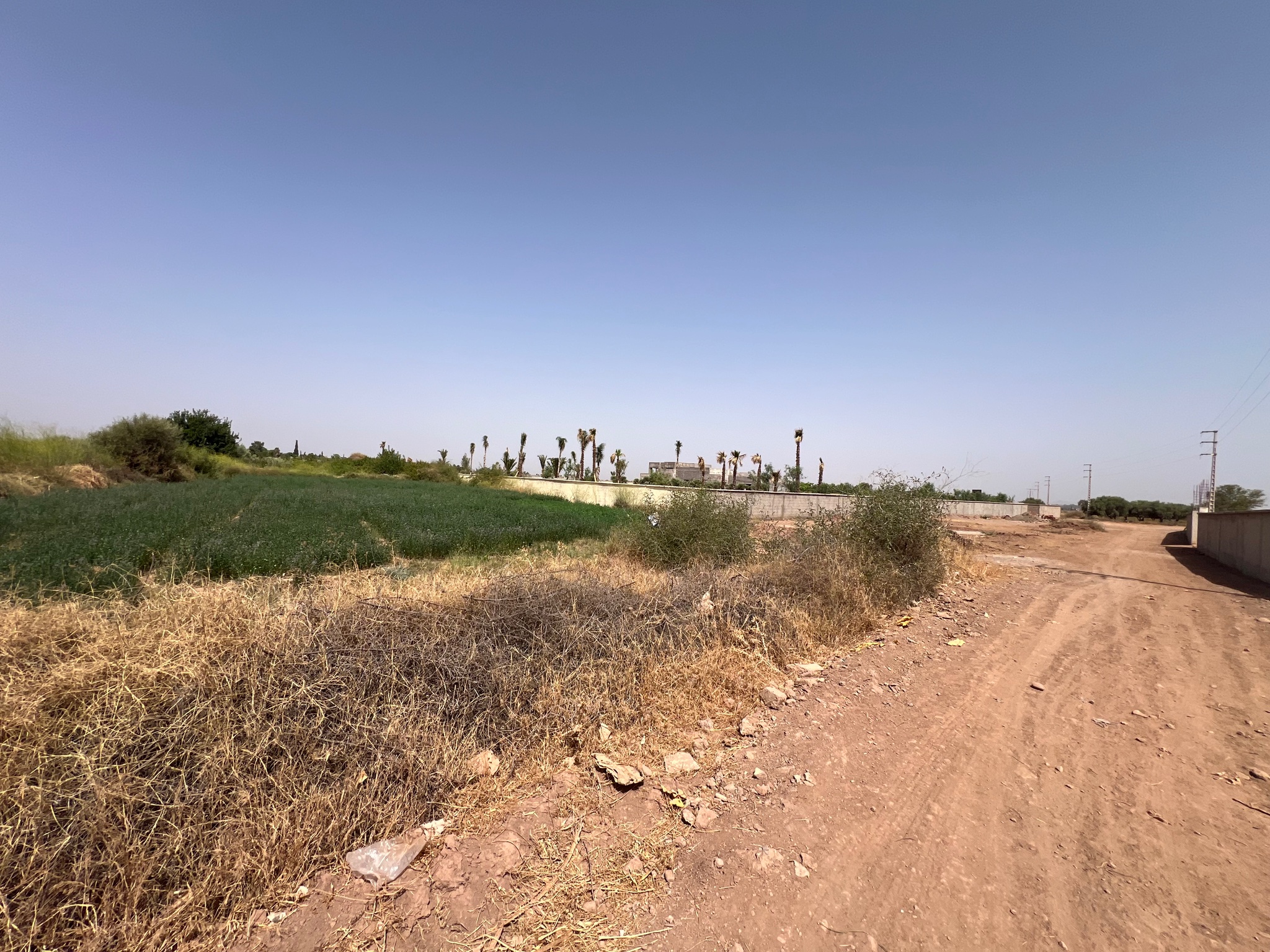 Terrain titré à vendre, Golf Al Maaden, Marrakech — miniature 8