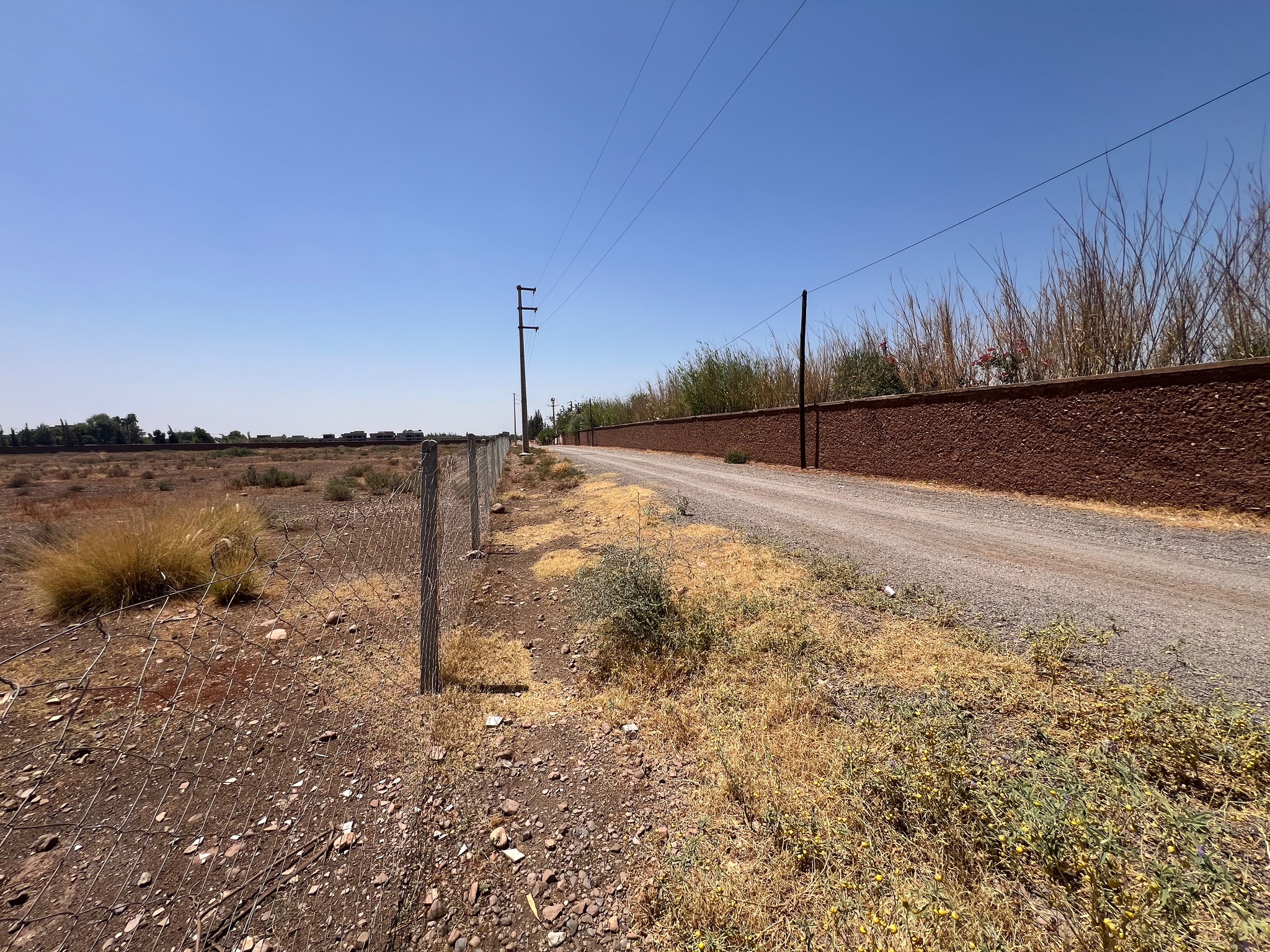 Vente / Achat : Terrain SD1 , 5 ha , Marrakech , route ourika  — miniature 3