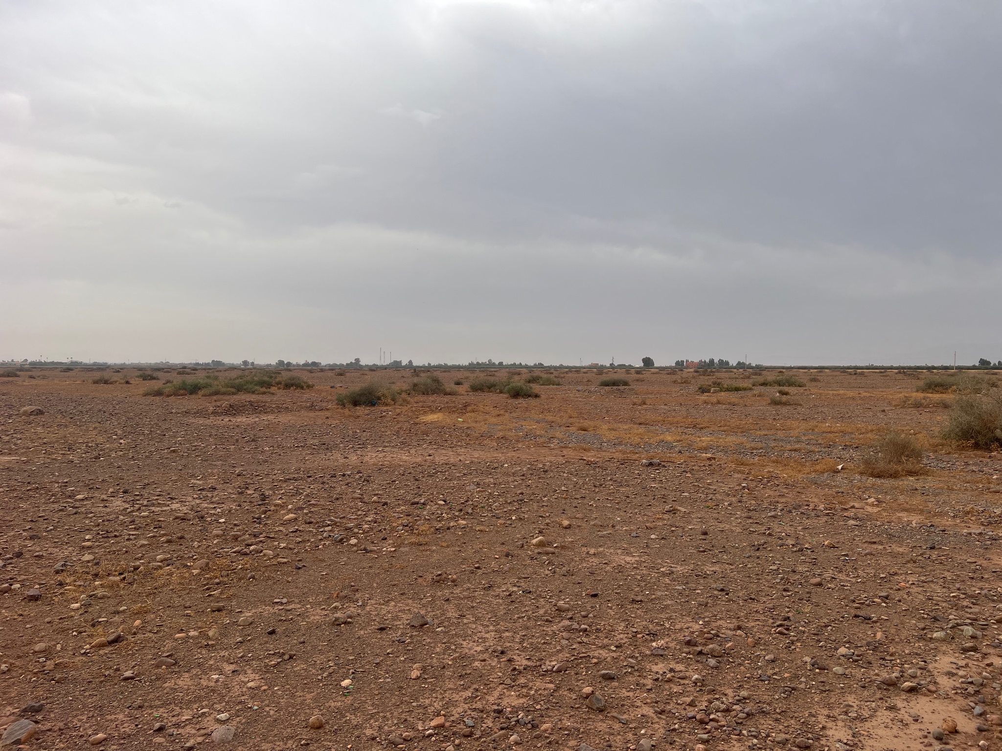Terrain titré 36 ha à vendre, Route de Tahanaout, Marrakech — miniature 6