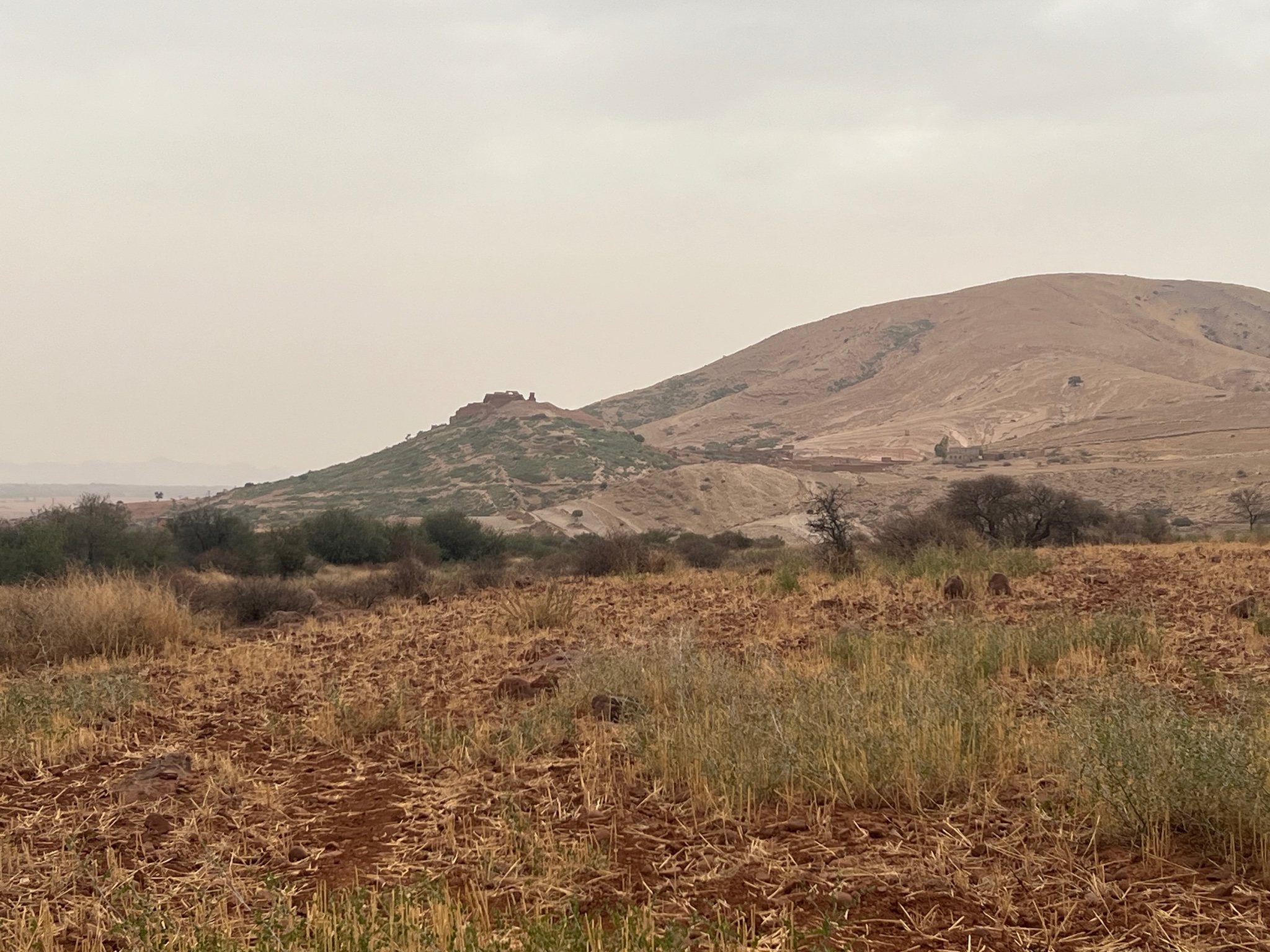 Terrain 3,07 ha à vendre, Sidi Abdellah Ghiate, Marrakech — miniature 5