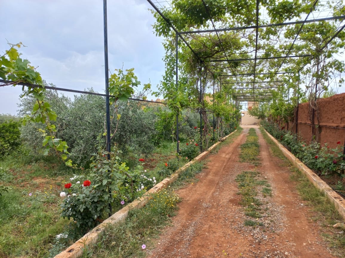 Ferme 2,75 ha avec maison à vendre, Sidi Abdellah Ghiate, Marrakech — miniature 7