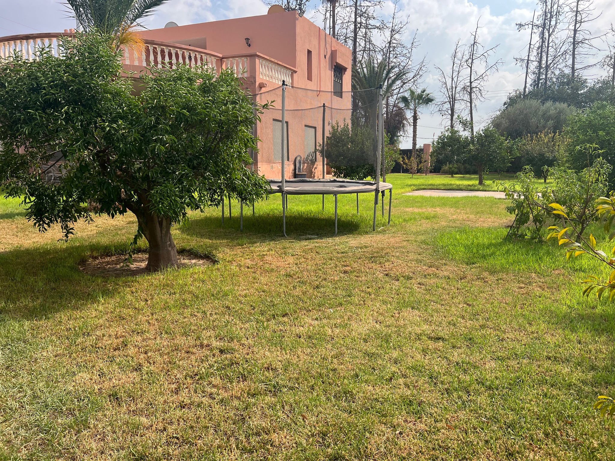 Ferme agricole 44 ha à vendre Souihla, Marrakech — miniature 13