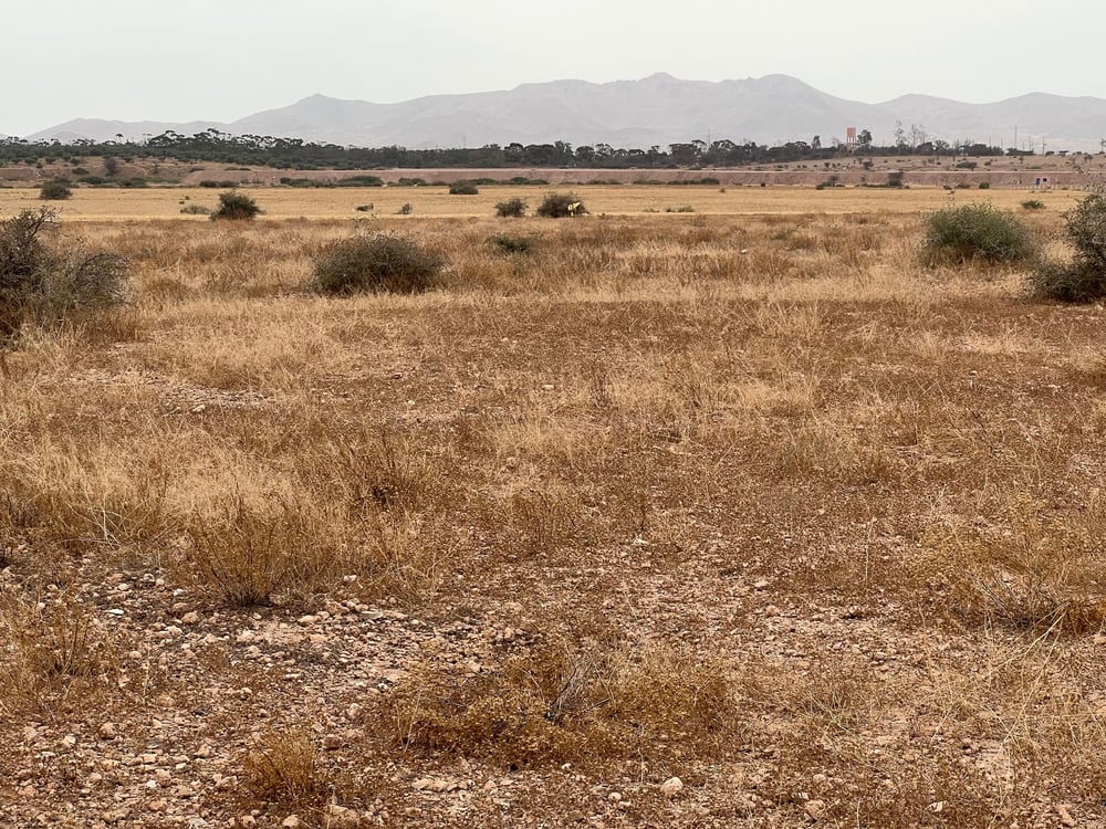 Terrain immeuble 5 ha à vendre, Rmila Marrakech — photo 7