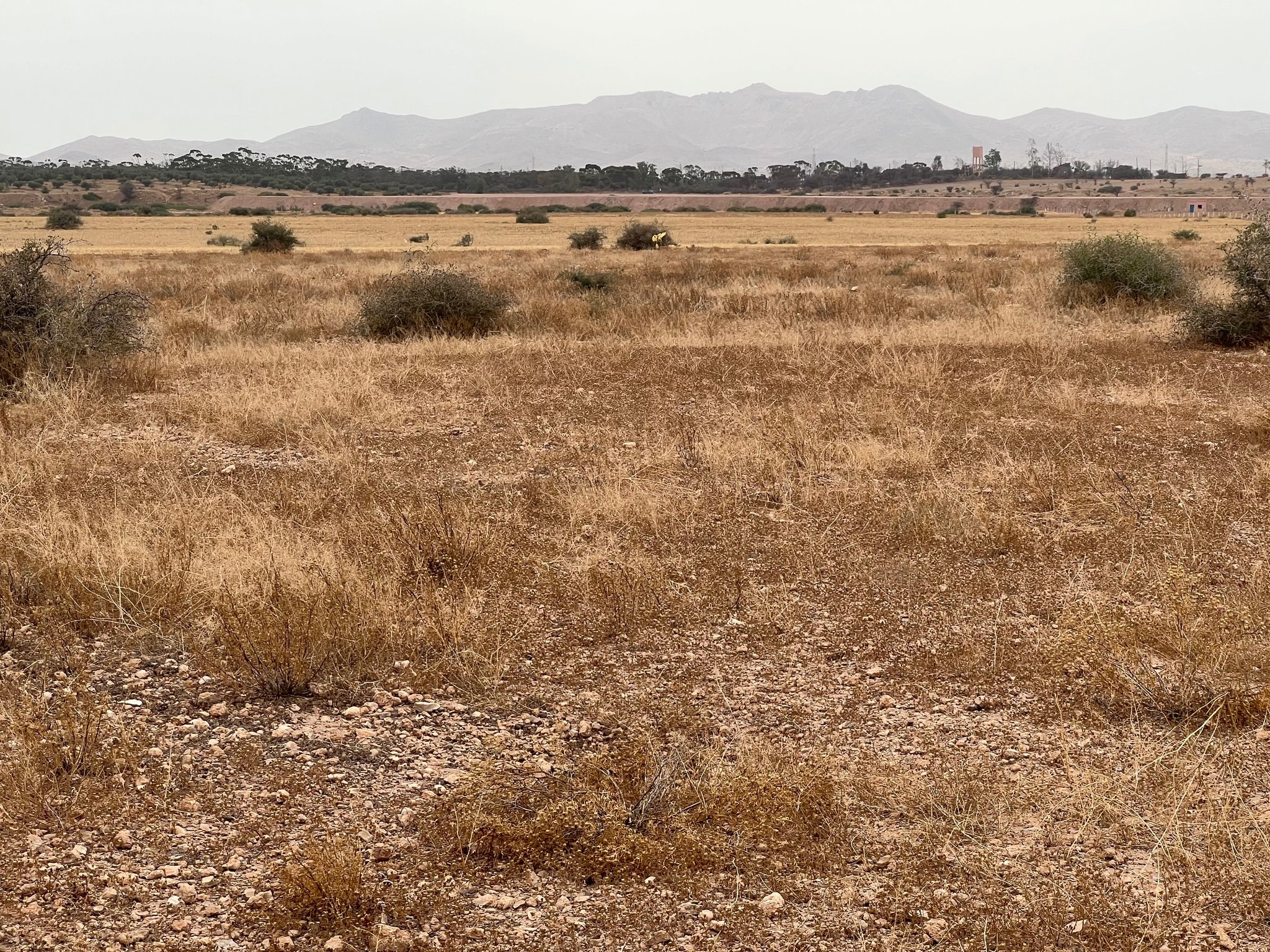 Terrain immeuble 5 ha à vendre, Rmila Marrakech — miniature 7