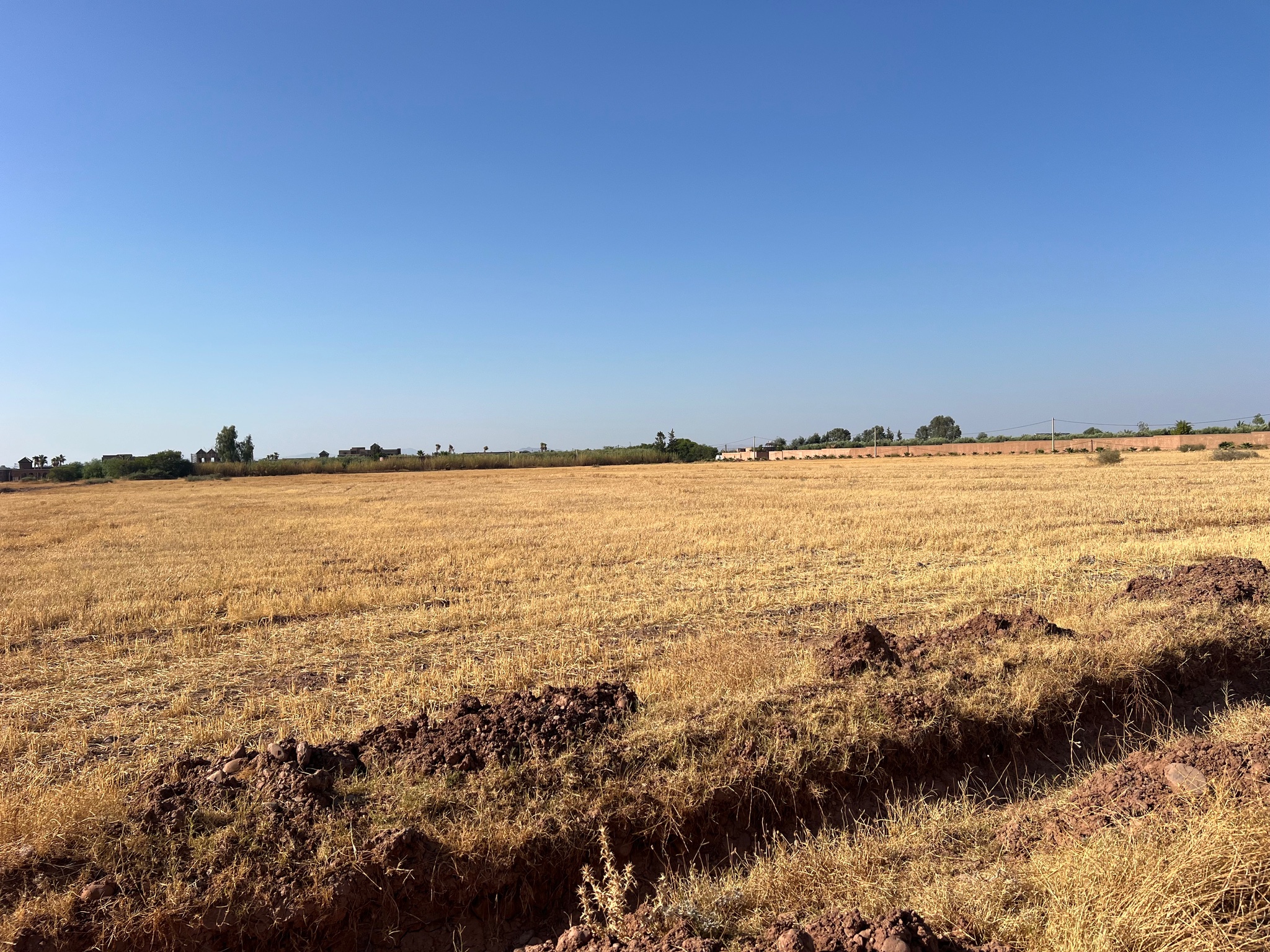 Vente / Achat : Terrain zone touristique, 6,3 ha , Route de tahanaoute , Marrakech  — miniature 6