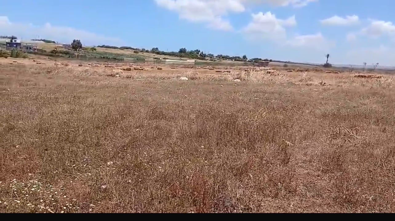 Terrain agricole à vendre, Bir Jdid, Casablanca — Terrain, Casablanca