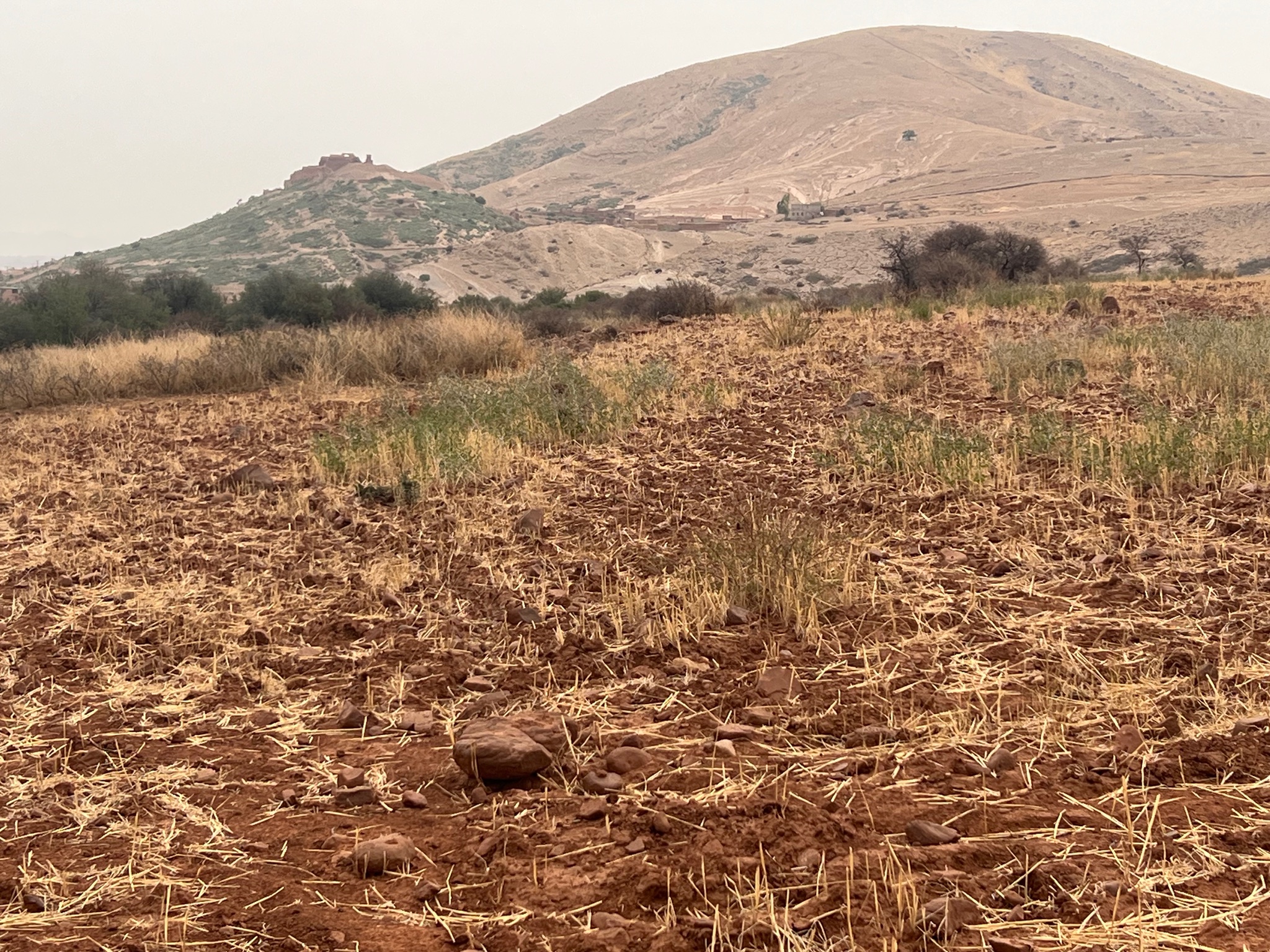 Terrain 3,07 ha à vendre, Sidi Abdellah Ghiate, Marrakech — miniature 8