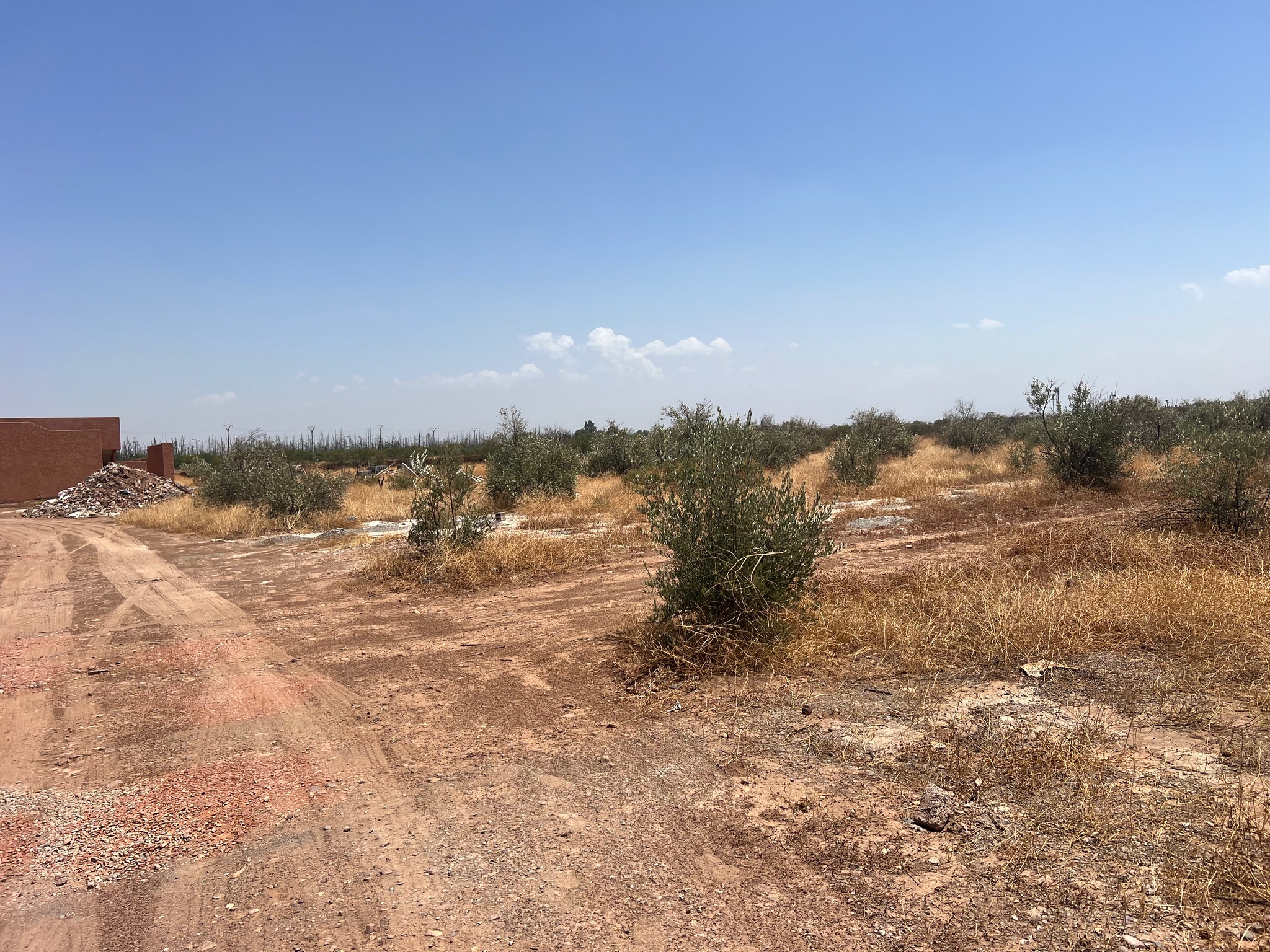 Achat/ vente : projet de villas autorisés. Terrain  SD1 route ourika , Marrakech  — miniature 3